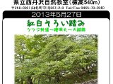 tanzawa_shuhen130527b.jpg