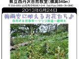 tanzawa_shuhen130624b.jpg
