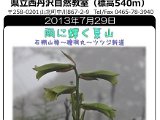 tanzawa_shuhen130729b.jpg