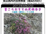 tanzawa_shuhen130822b.jpg
