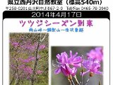 tanzawa_shuhen140417b.jpg