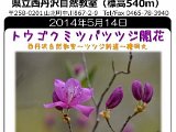 tanzawa_shuhen140514b.jpg