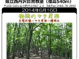 tanzawa_shuhen140616bb.jpg