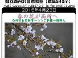 tanzawa_shuhen20150423.jpg