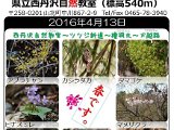 tanzawa_shuhen20160413.jpg