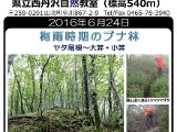 tanzawa_shuhen20160624.JPG