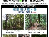 tanzawa_shuhen20160729.JPG