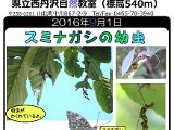 tanzawa_shuhen20160901.jpg