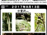 tanzawa_shuhen20170913.jpg