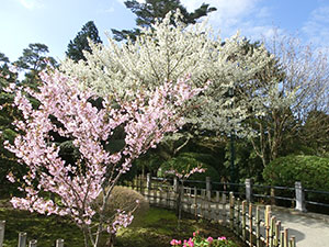 県立恩賜箱根公園