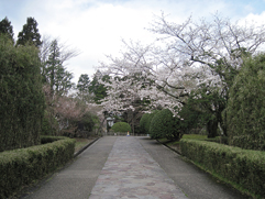 登録物構成要素