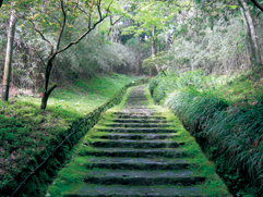 登録物構成要素