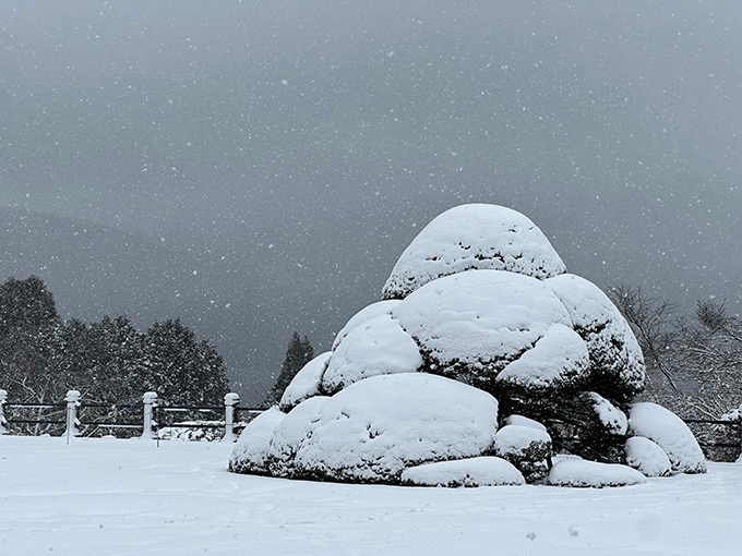 雪纏うキャラ玉（中央庭園）