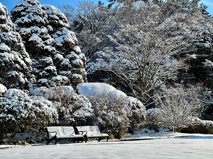 雪の公園