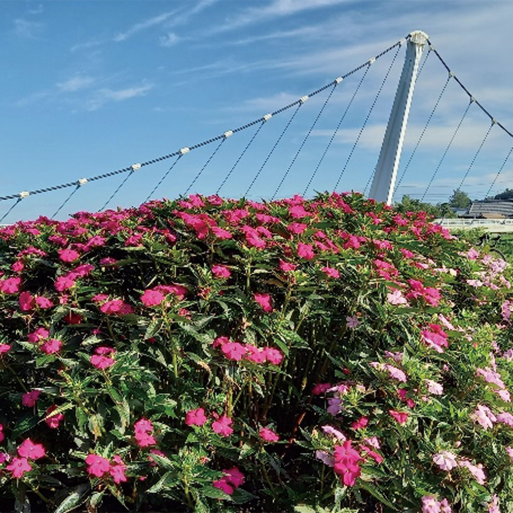 鷺舞橋