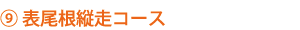 9表尾根縦走コース