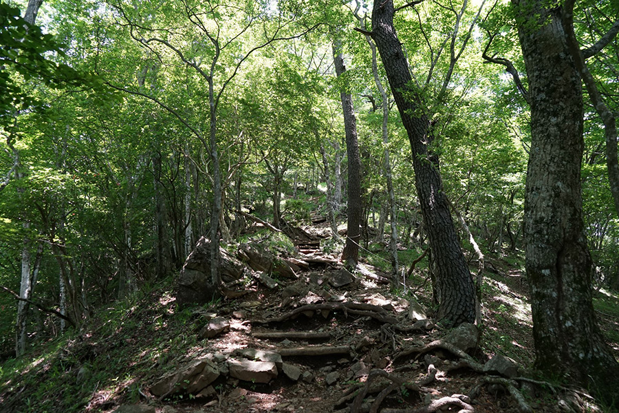 鍋割山