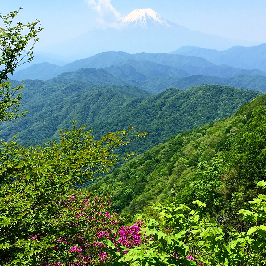 大室山