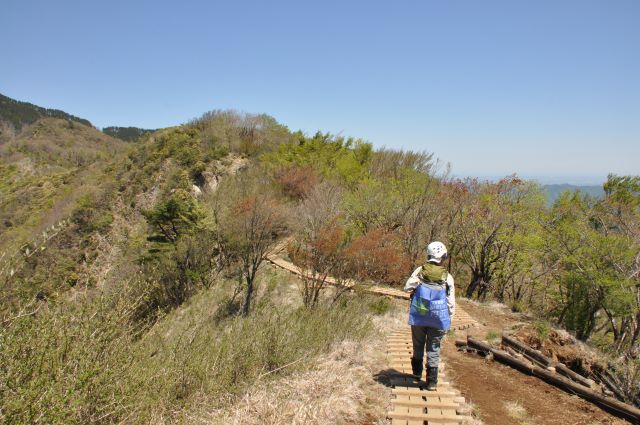 登山道をはずれずに