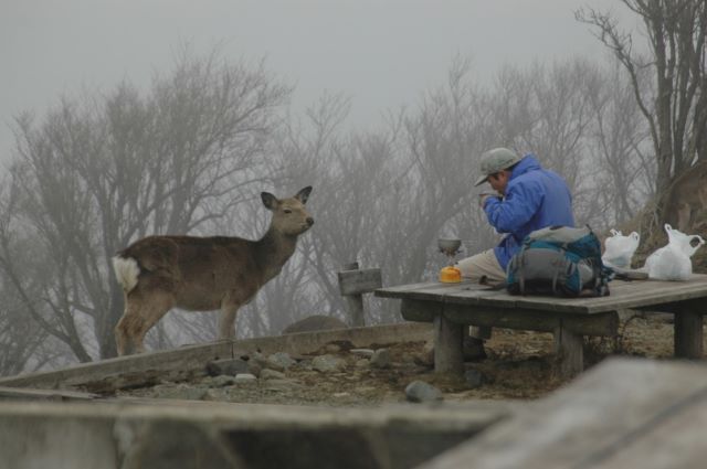 エサあげない