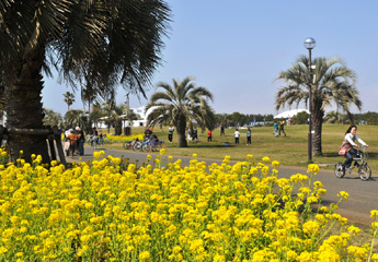公園の風景