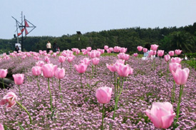 公園の風景