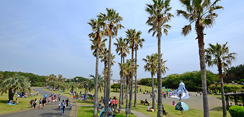 公園の風景