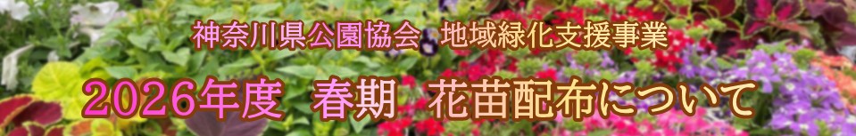 花苗配布について