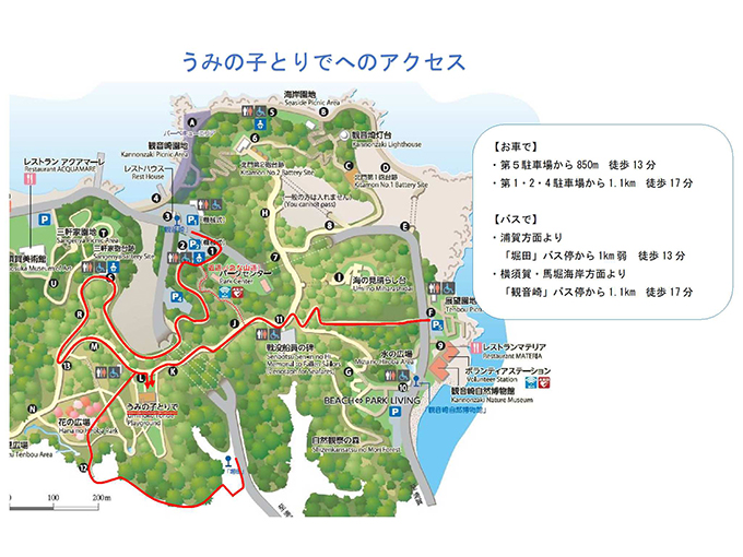 観音崎公園｜園内マップ・施設