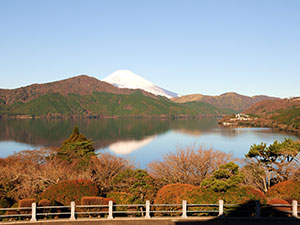 紅葉と富士山