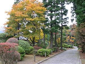 恩賜箱根公園