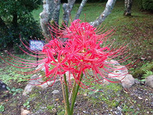 恩賜箱根公園