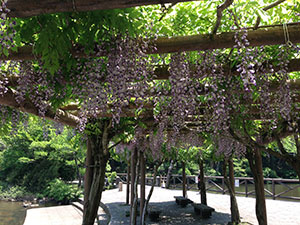 恩賜箱根公園