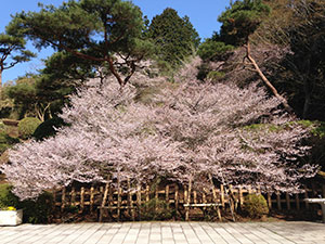 恩賜箱根公園