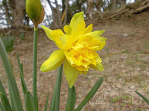 恩賜箱根公園