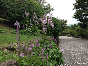 恩賜箱根公園
