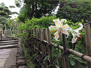 恩賜箱根公園