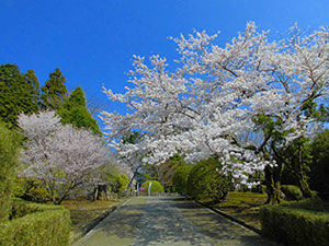 恩賜箱根公園