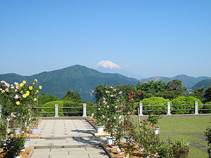 恩賜箱根公園