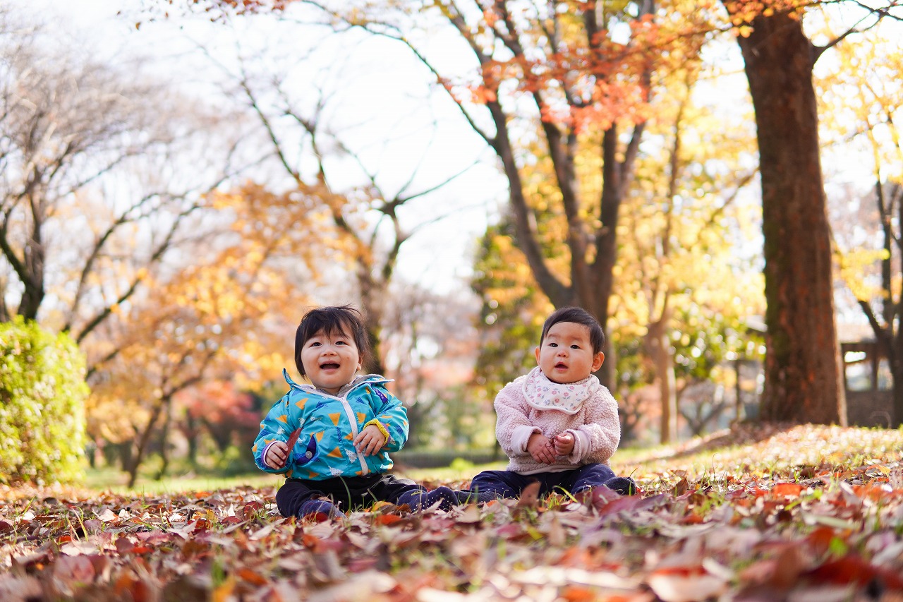 紅葉した木の下、落ち葉の上で幼児2人が座り込んで笑っている。