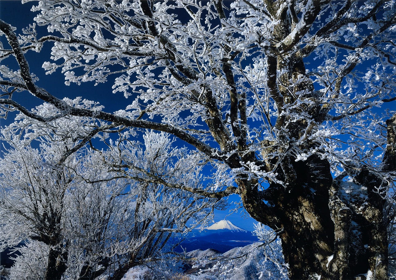 樹氷の奥に富士山が見える