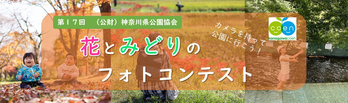 17バナー