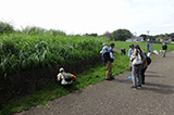 茅ケ崎里山公園