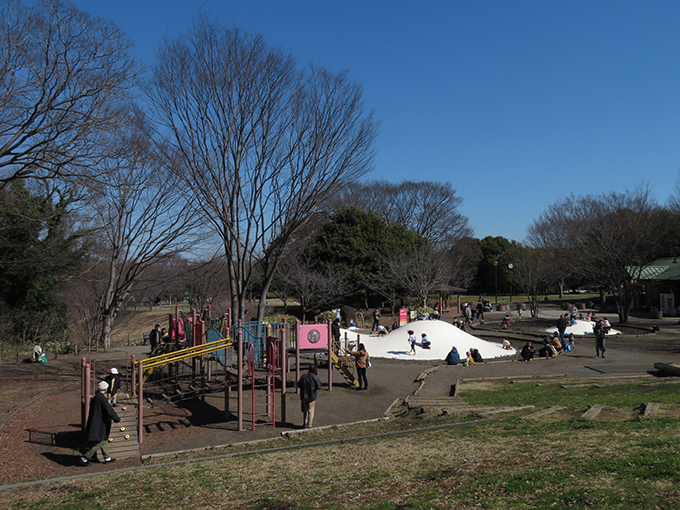 茅ケ崎里山公園