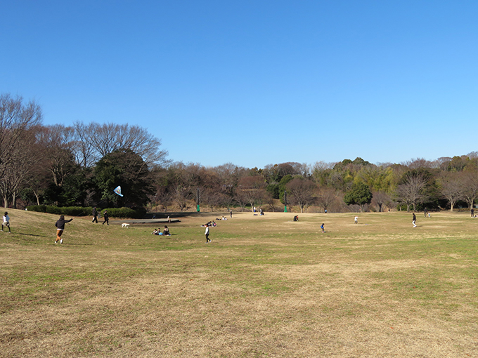 茅ケ崎里山公園