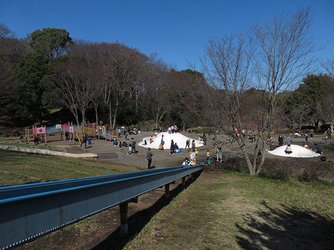 茅ケ崎里山公園