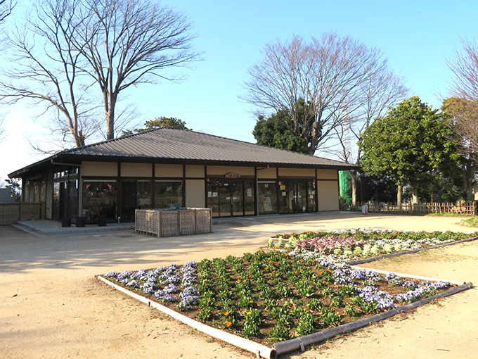 茅ケ崎里山公園