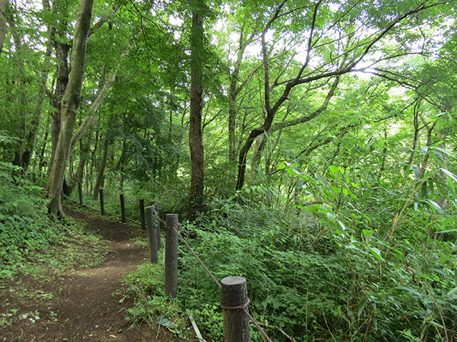 自然散策路（トチヤ沢ルート）