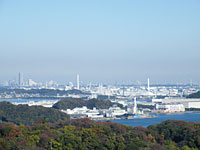 塚山公園写真