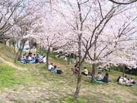 塚山公園写真